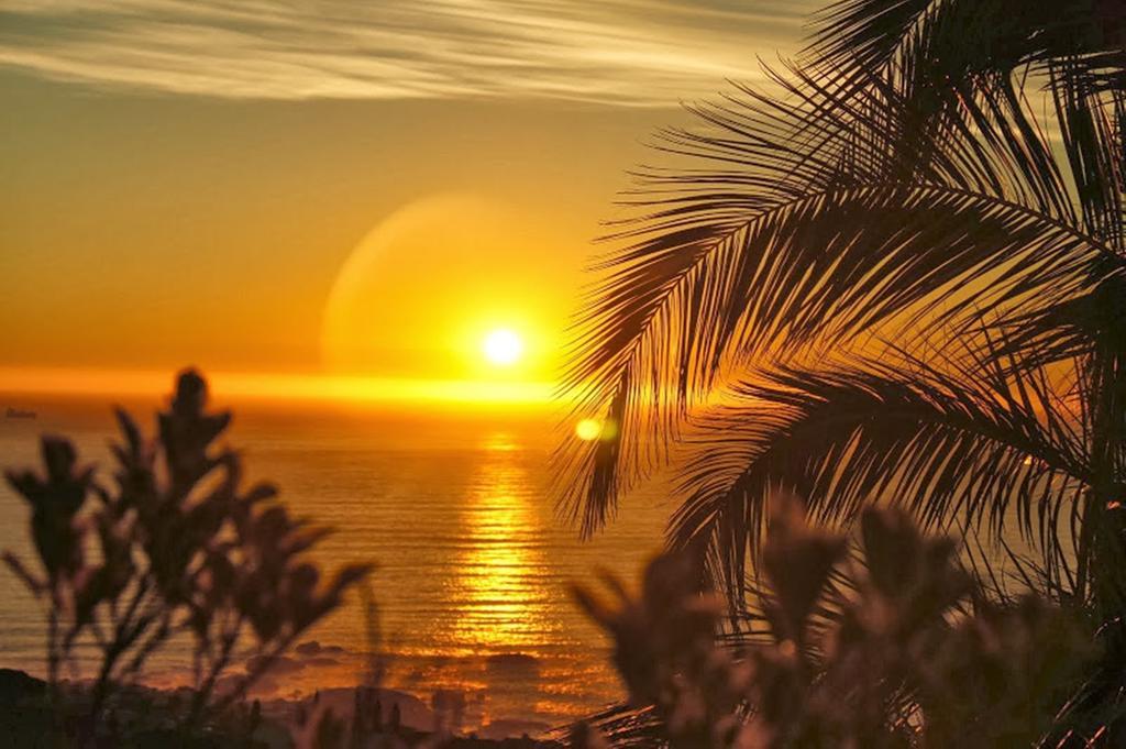 Guest House Michelitsch Cidade Do Cabo Exterior foto